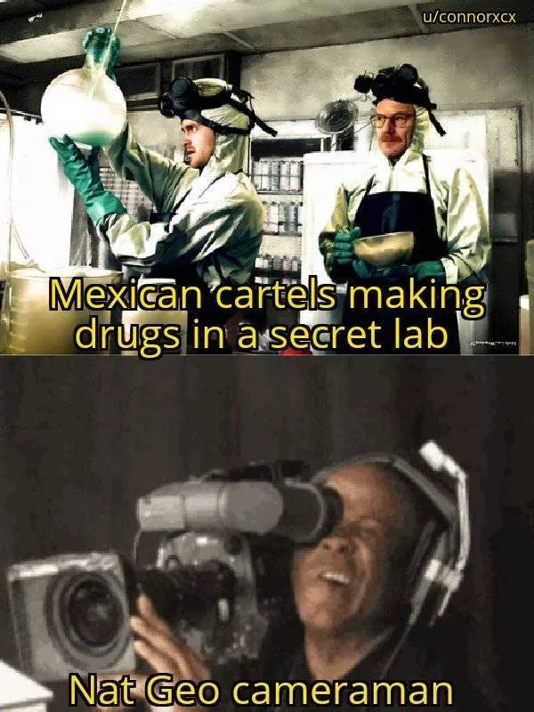A collection of funny photos - #3 