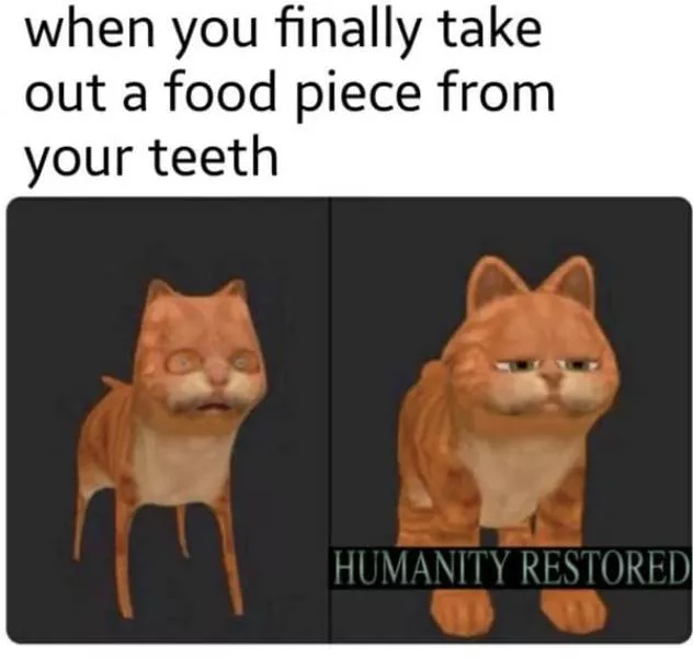 A collection of funny photos