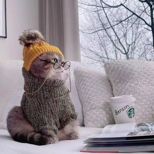 Picdump 540 - #15 