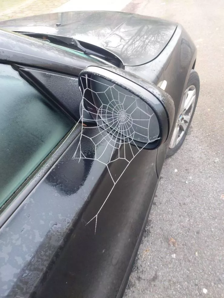 Picdump 540 - #30 