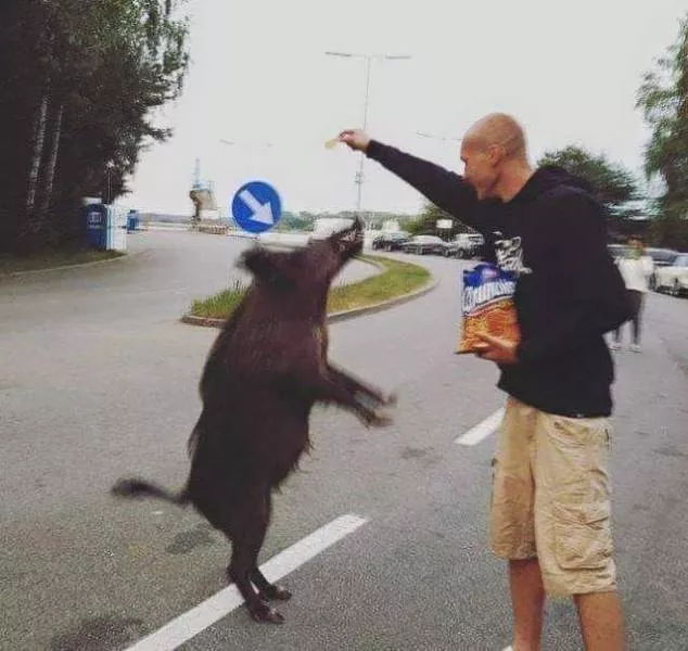 Picdump 540 - #31 