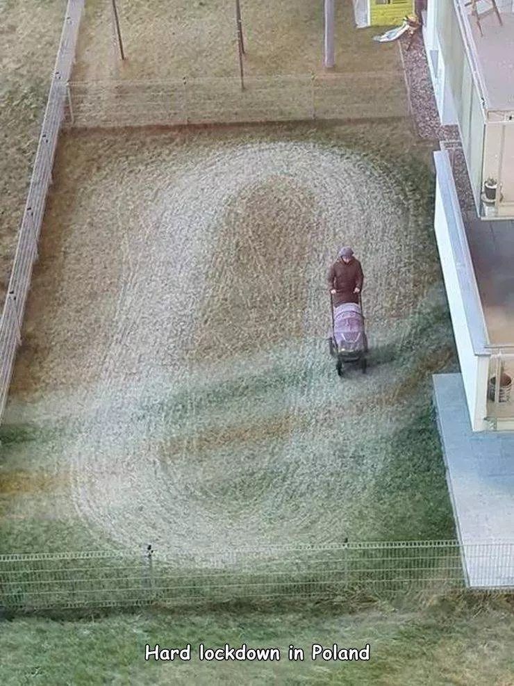 Picdump 540 - #39 