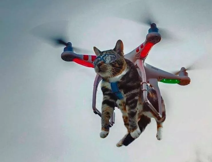 Picdump 540 - #52 