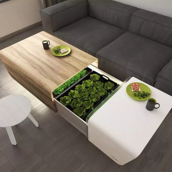 Top designs etonnants - #8 Micro-jardin auto-entretenu