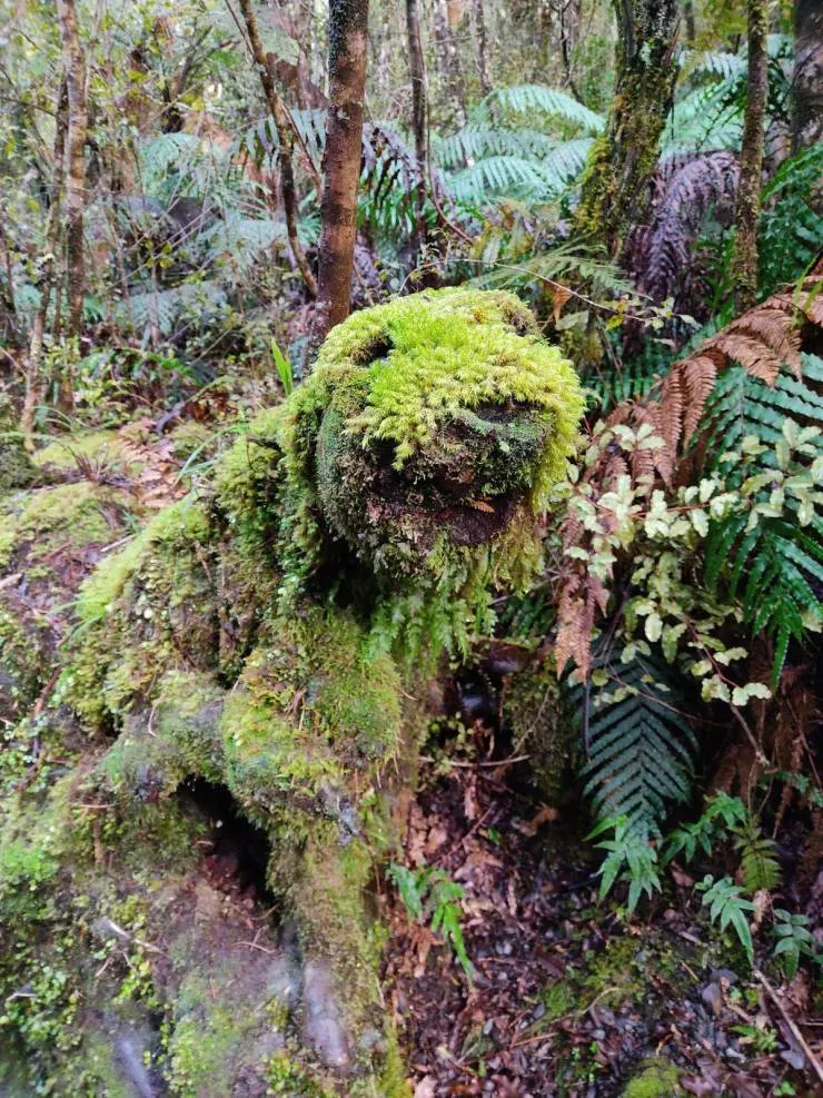 Very cool stuff - #17 Find the giant foam puppy