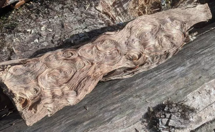 Very cool stuff - #2 A piece of wood