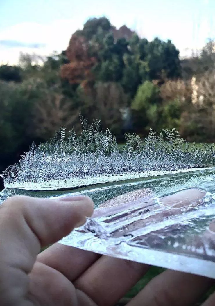 Very cool stuff - #6 Ice forest