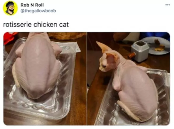 A collection of funny objects - #36 