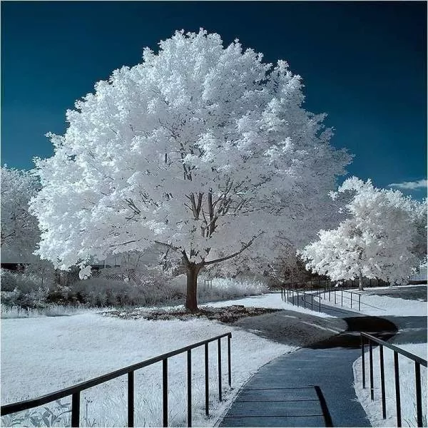 Pictures that are worth a thousand words - #17 Pictures that are worth a thousand words - #17