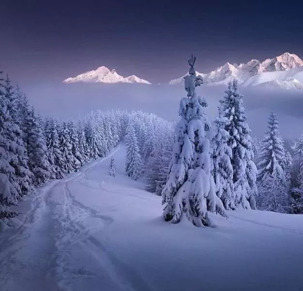 Des photos qui valent mille mots - #32 
