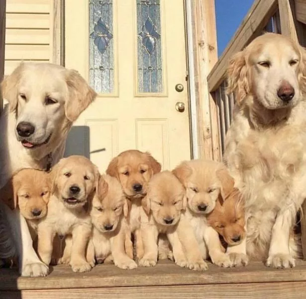 Pictures that are worth a thousand words - #37 Pictures that are worth a thousand words - #37