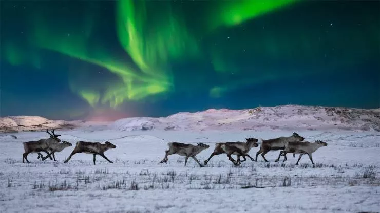 Des photos qui valent mille mots - #47 Des photos qui valent mille mots - #47