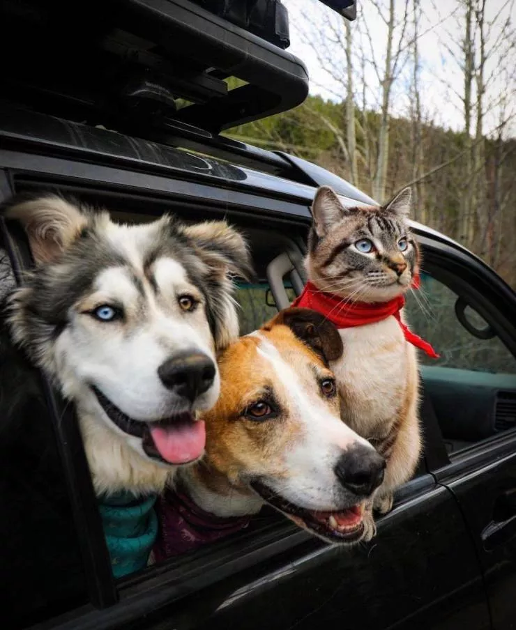Pictures that are worth a thousand words - #5 Pictures that are worth a thousand words - #5