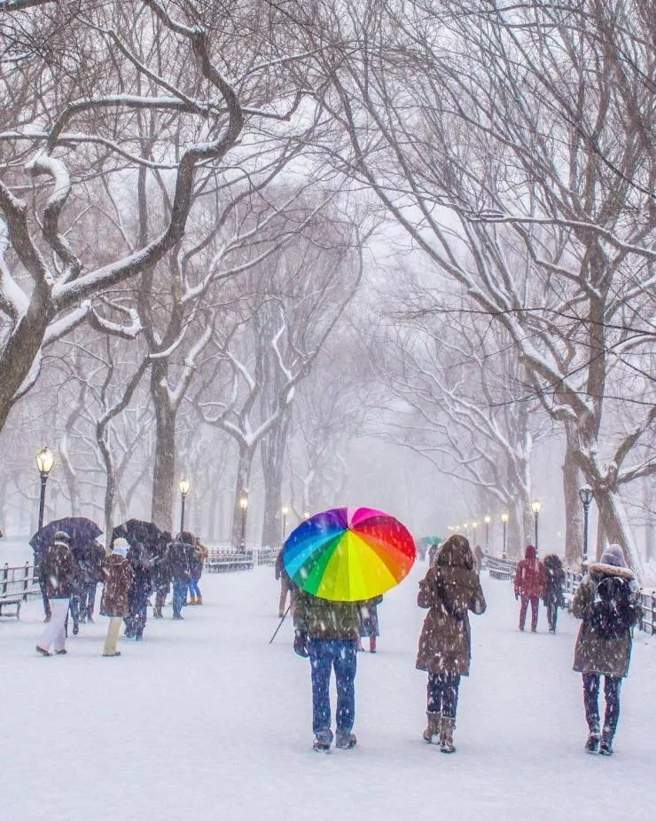 Pictures that are worth a thousand words - #51 Pictures that are worth a thousand words - #51