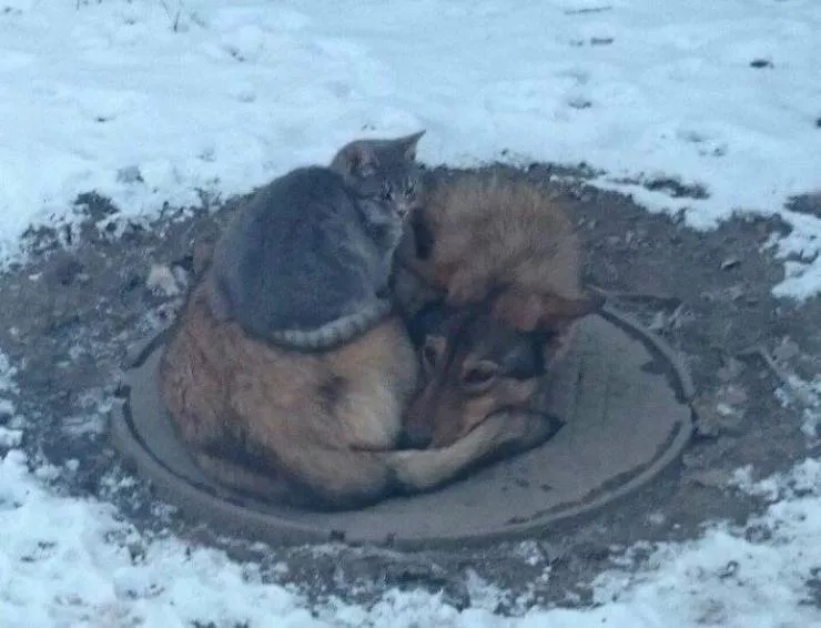 Pictures that are worth a thousand words - #6 Pictures that are worth a thousand words - #6