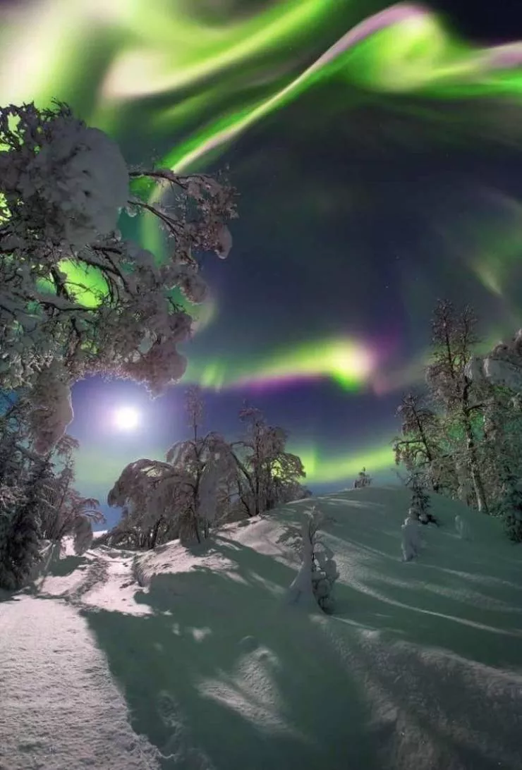 Des photos qui valent mille mots - #7 