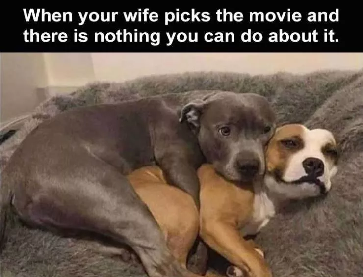 The funniest meme of the day - #11 