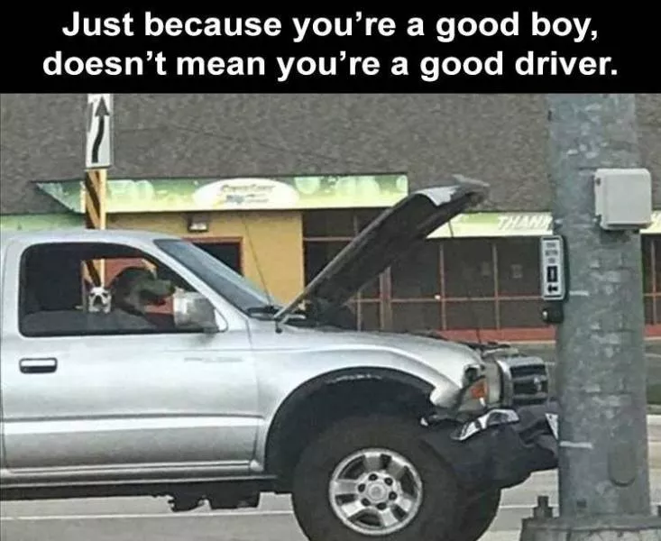 The funniest meme of the day - #16 