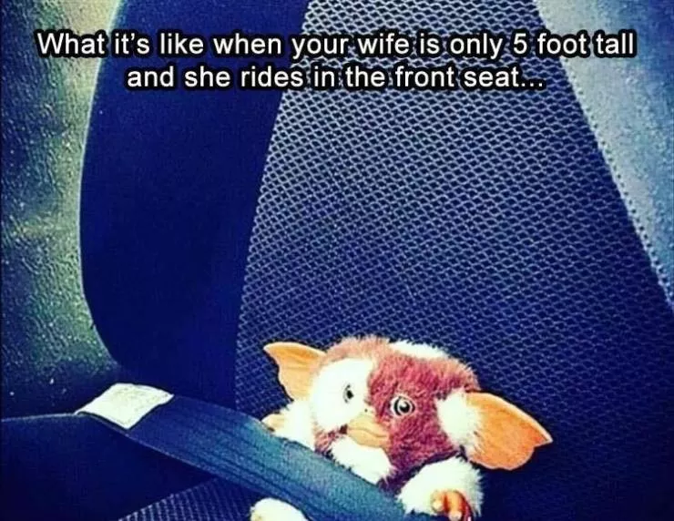 Le meilleur meme drole du jour - #32 