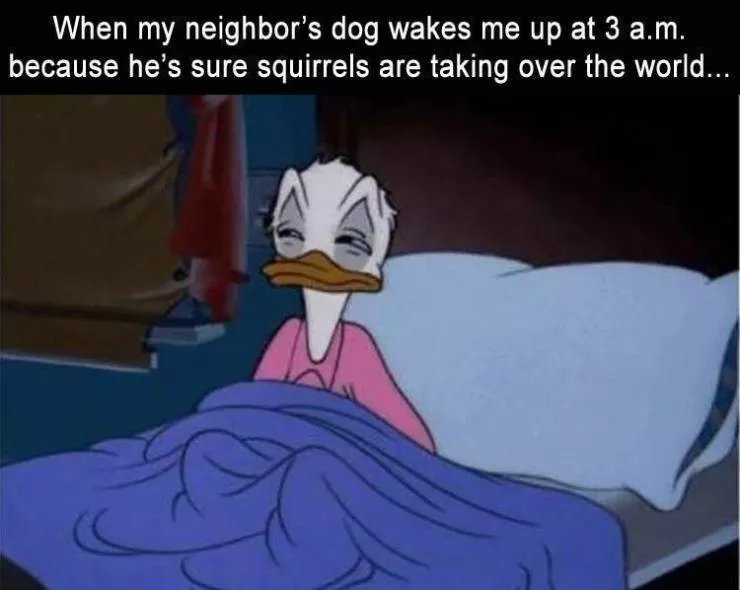 The funniest meme of the day - #34 