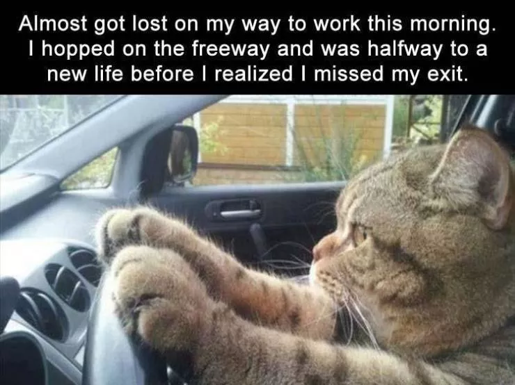 Le meilleur meme drole du jour - #36 