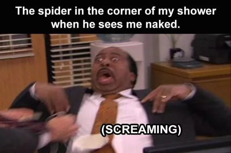 The funniest meme of the day - #8 