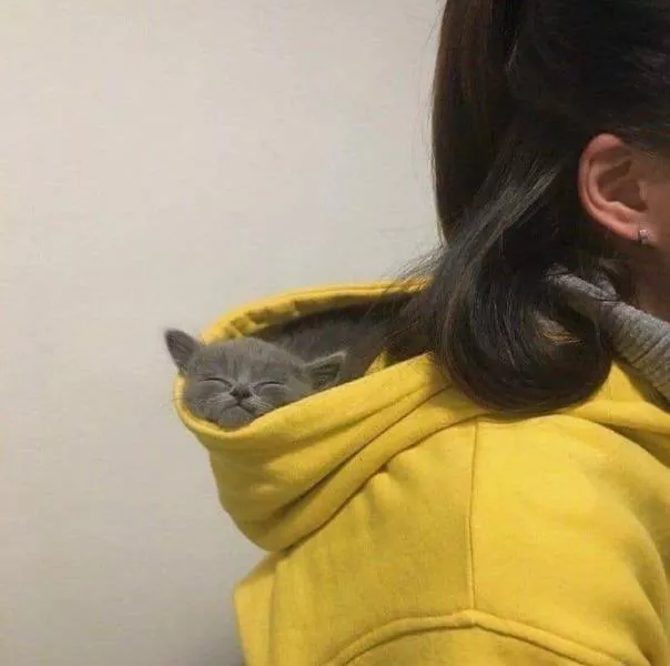 Picdump 542 - #20 