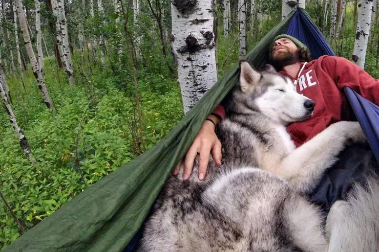 Picdump 542 - #41 