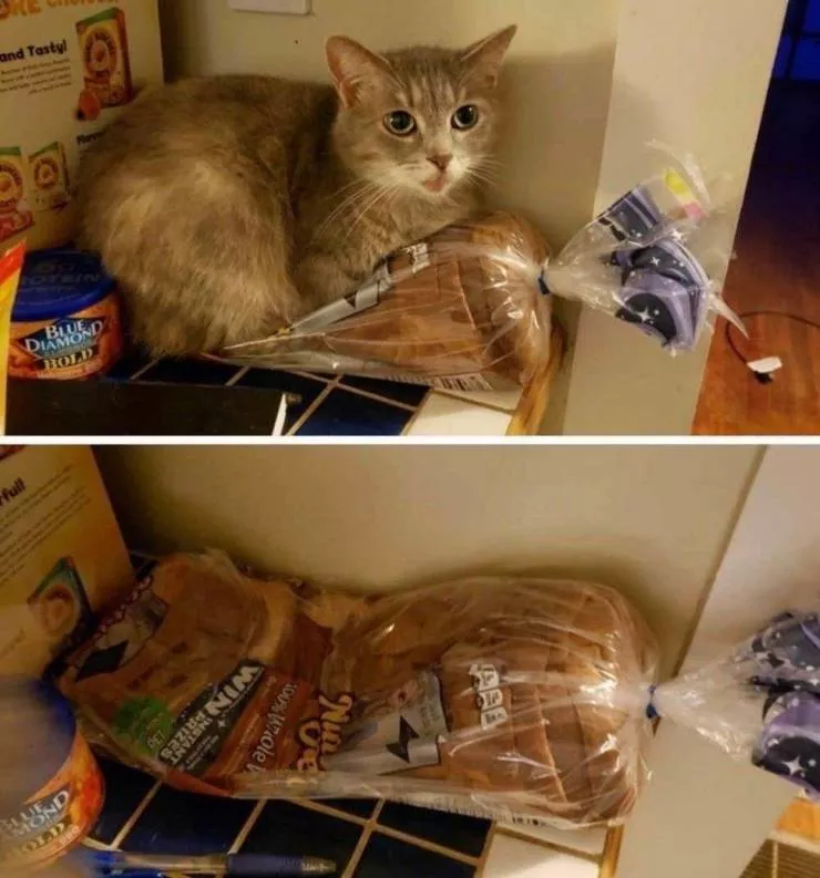 Picdump 542 - #67 
