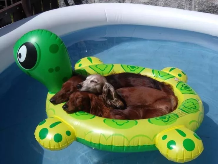 Picdump 542 - #8 