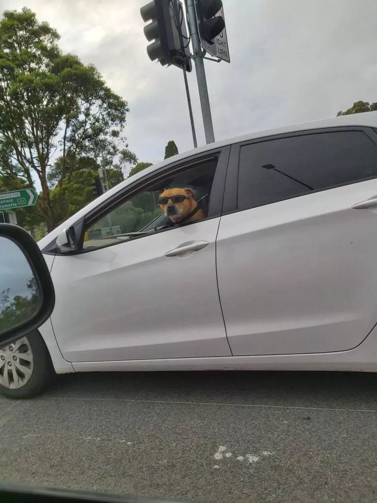 Picdump 542 - #80 