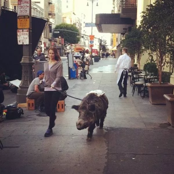 Picdump 543 - #25 