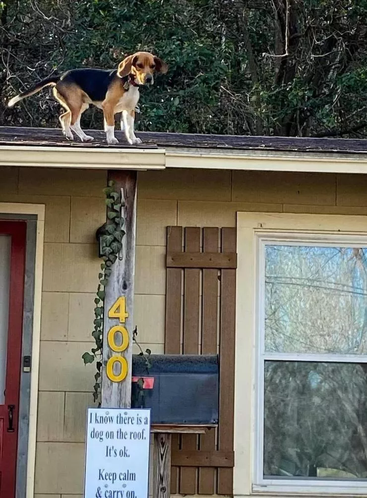 Picdump 543 - #30 
