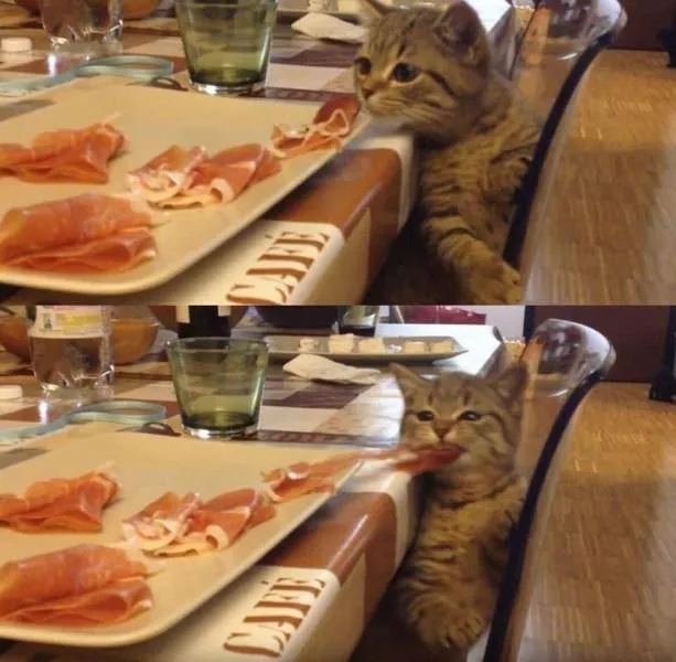 Picdump 543 - #7 