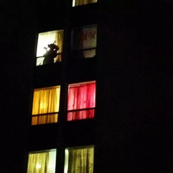 Picdump 544 - #11 
