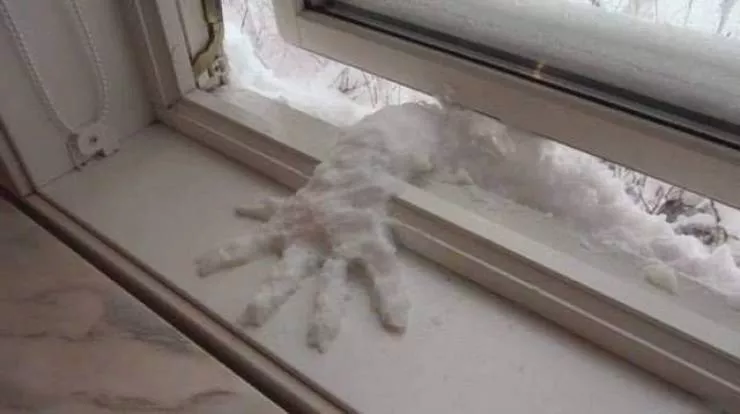 Picdump 544 - #37 