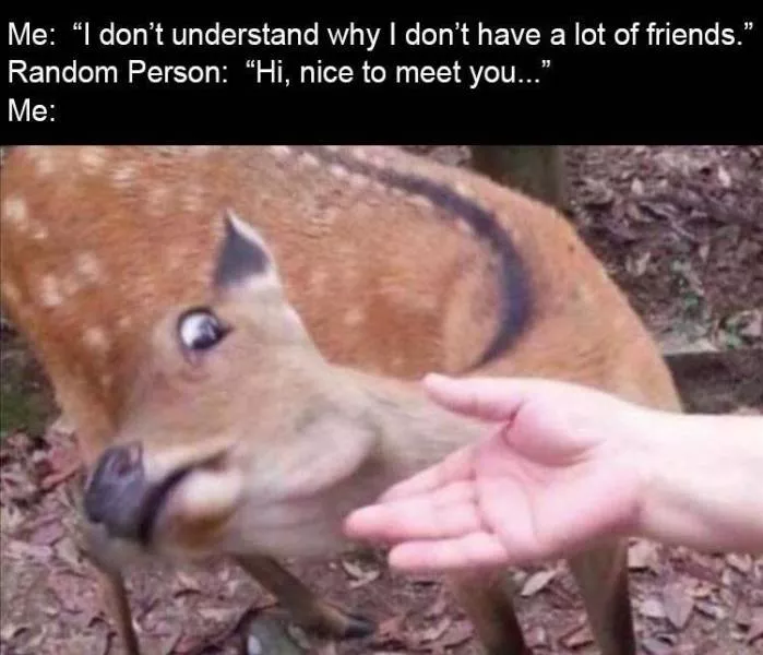 Funny meme - #12 