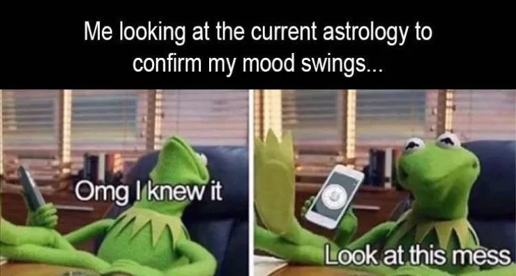 Funny meme - #16 