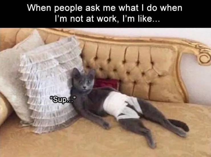 Funny meme - #20 