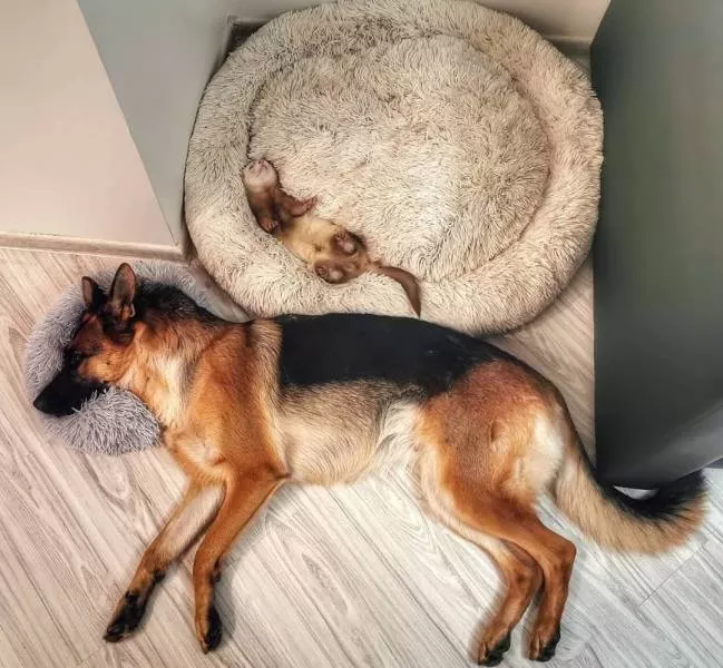 Picdump 545 - #21 
