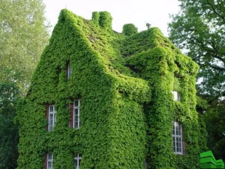 Picdump 545 - #9 
