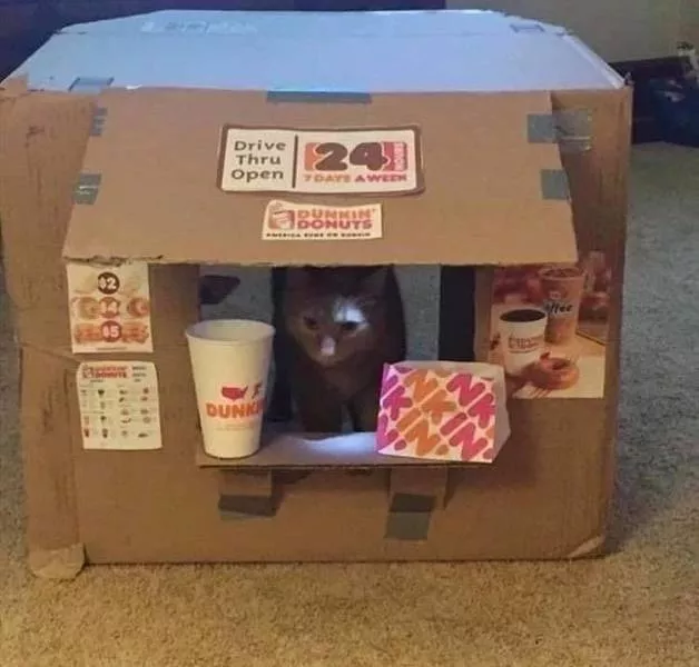 Picdump 546 - #19 