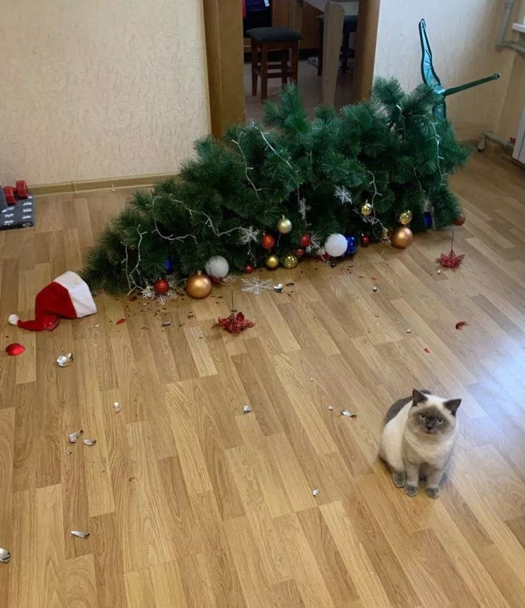 Picdump 546 - #3 