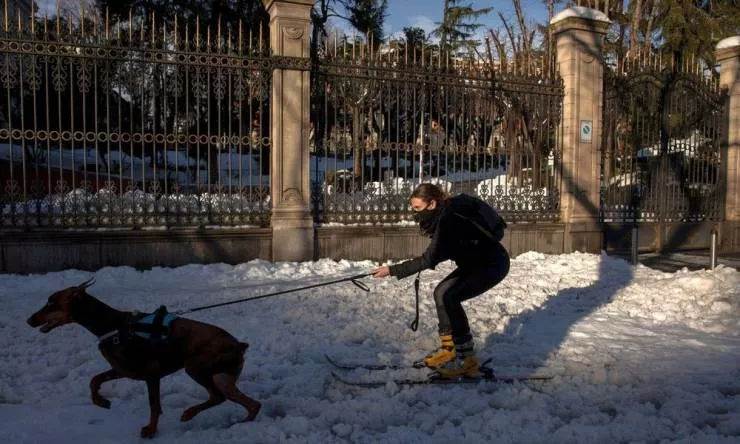 Picdump 546 - #43 