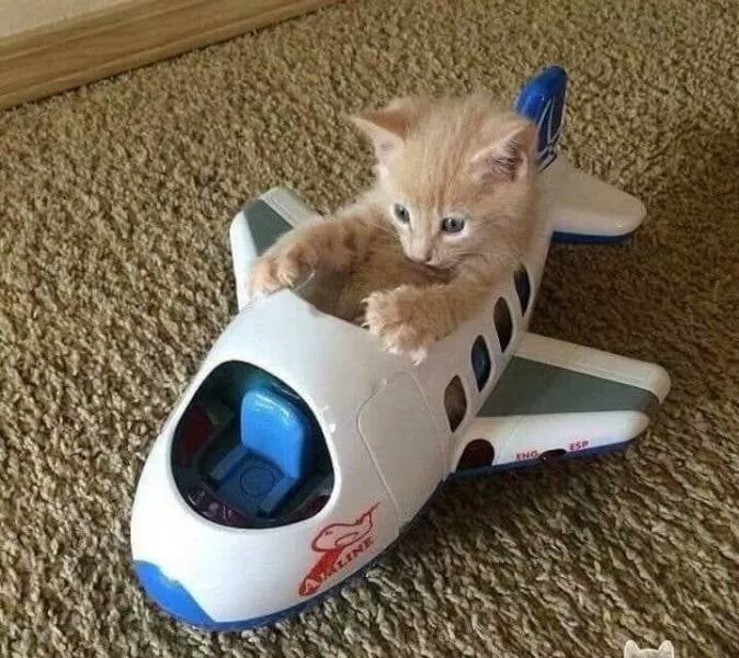 Picdump 546 - #5 