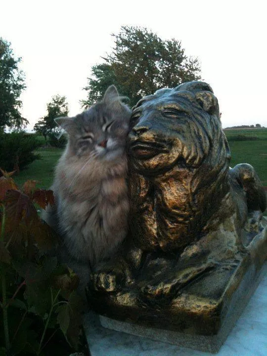 Picdump 548 - #48 