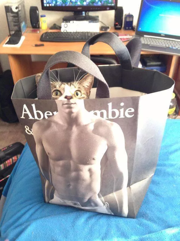 Picdump 548 - #52 