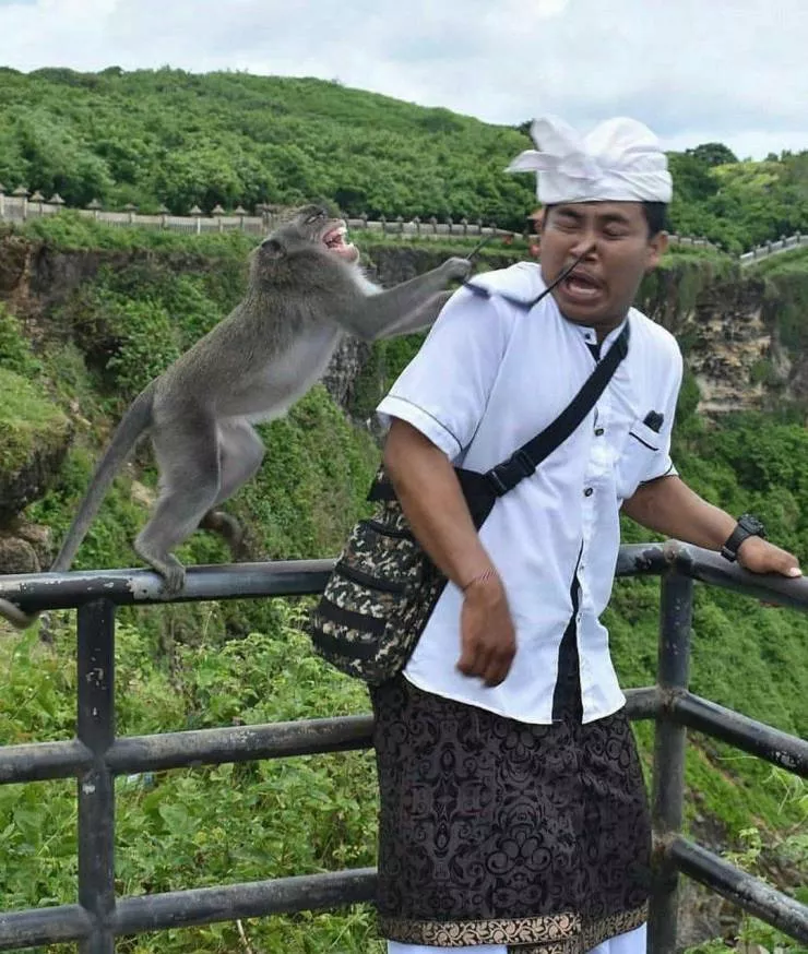 Picdump 549 - #1 