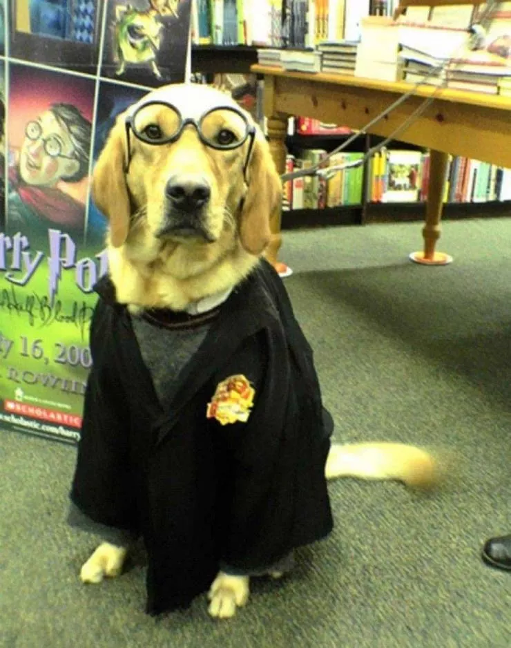 Picdump 549 - #32 