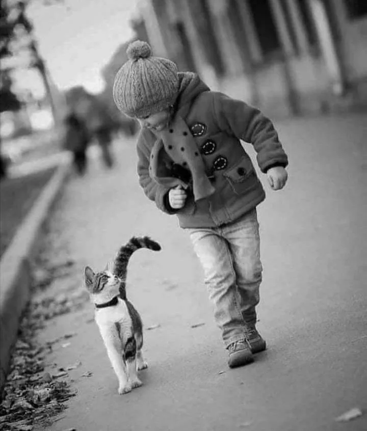 Picdump 549 - #4 